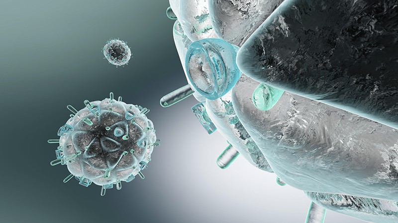 IAS 2021: El inicio temprano del tratamiento y recuentos de CD4 elevados se asocian con reservorios del VIH más pequeños